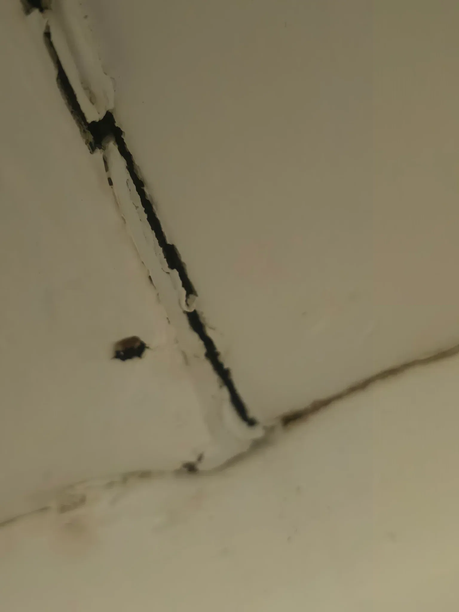 Request image 2