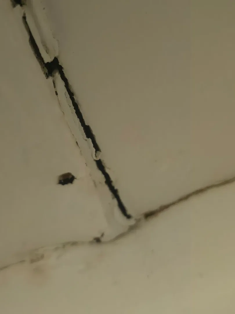Request image 2