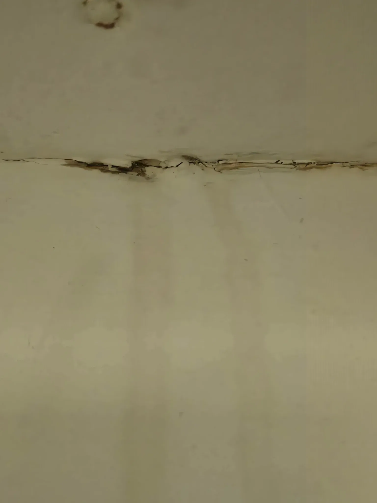 Request image 3