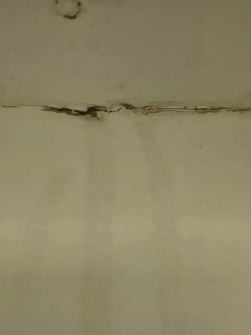 Request image 3
