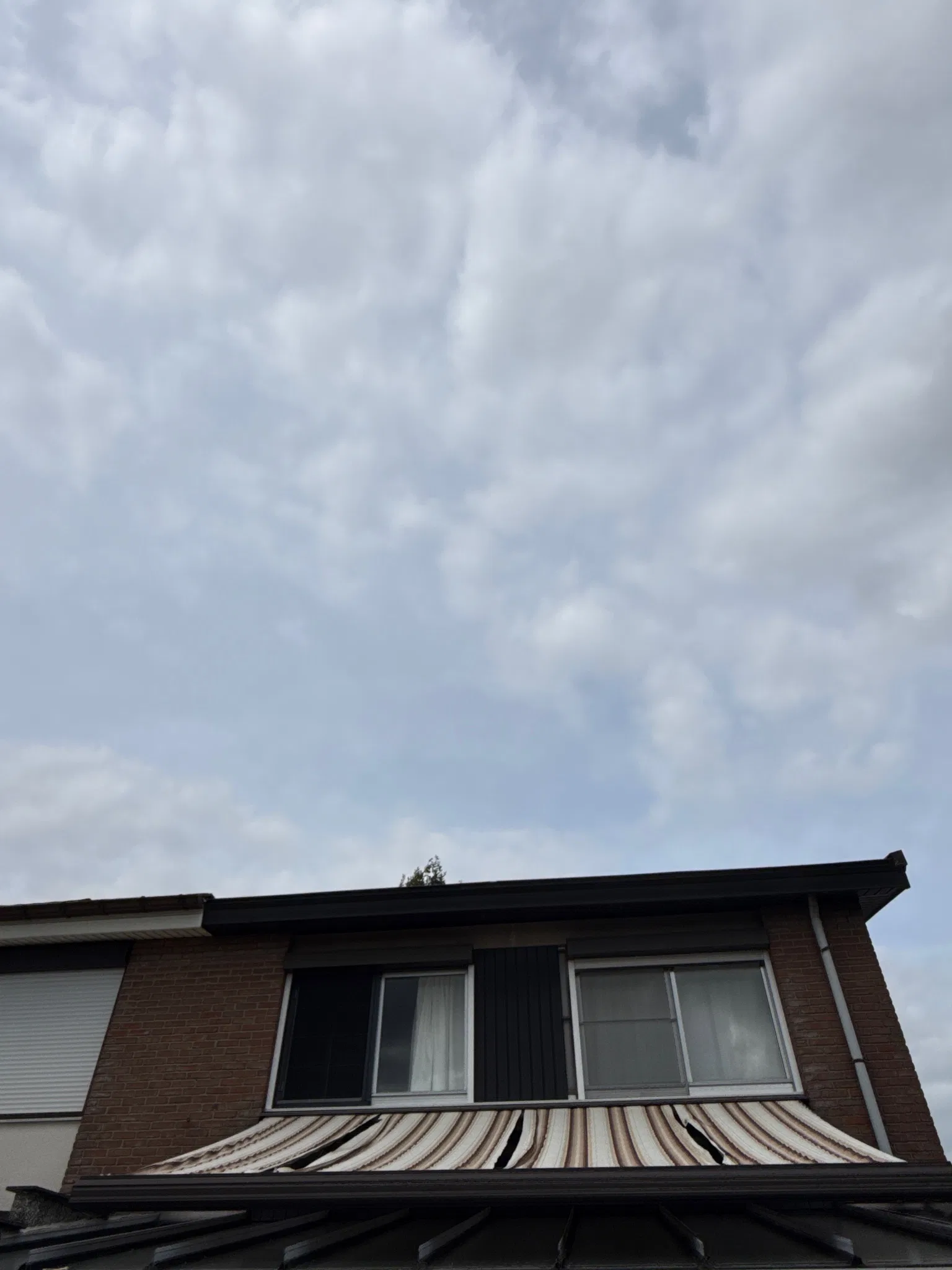 Request image 5