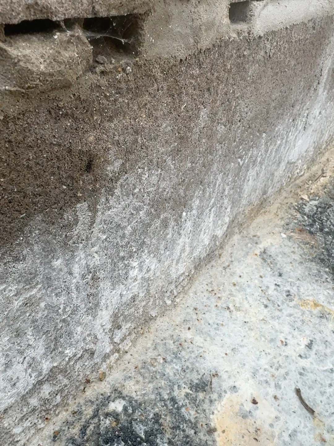 Request image 5