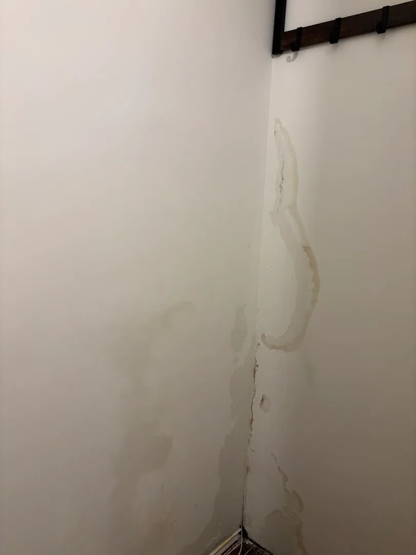 Request image 1