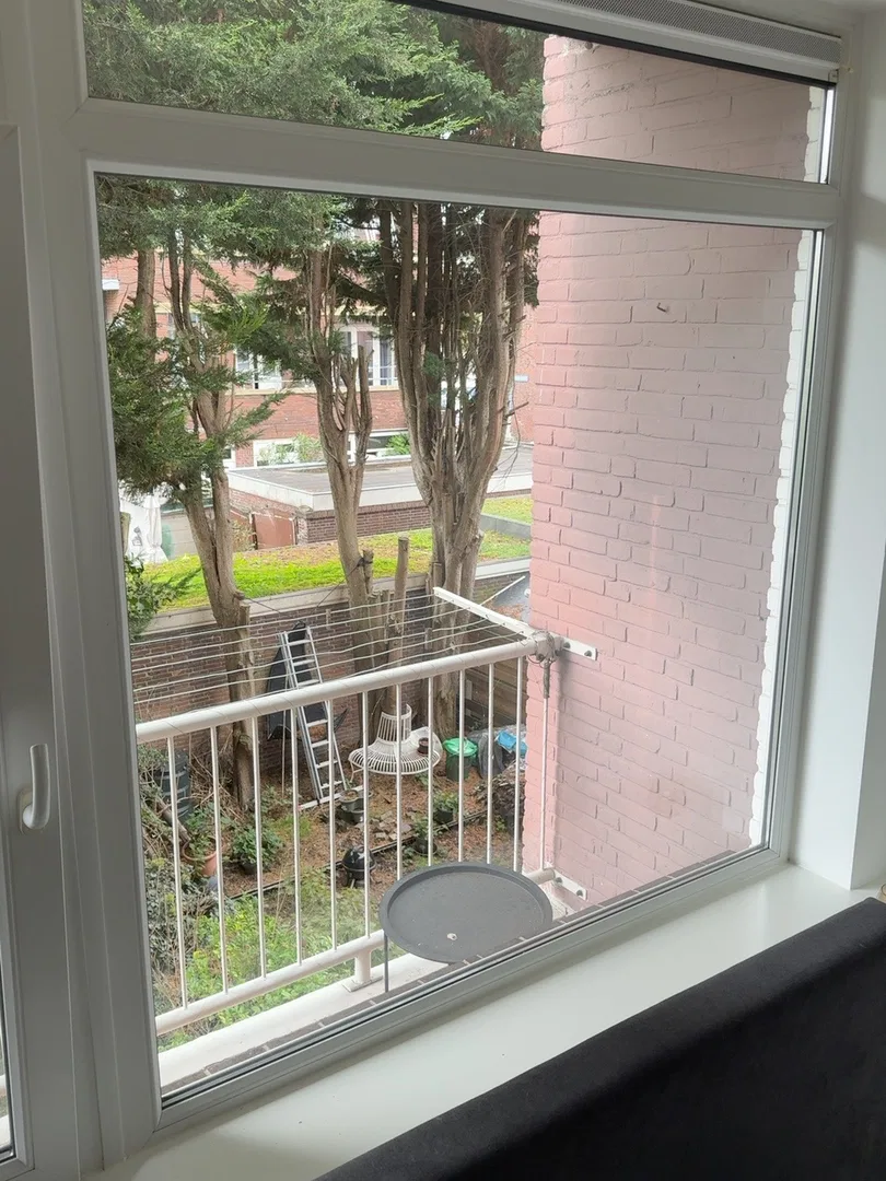 Request image 1