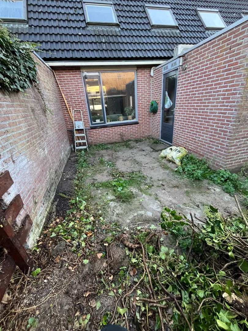 Request image 1